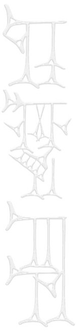 neolography masthead image